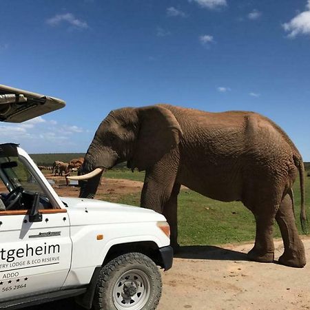 Hitgeheim Country Hospedaje y Eco Reserve Addo Exterior foto