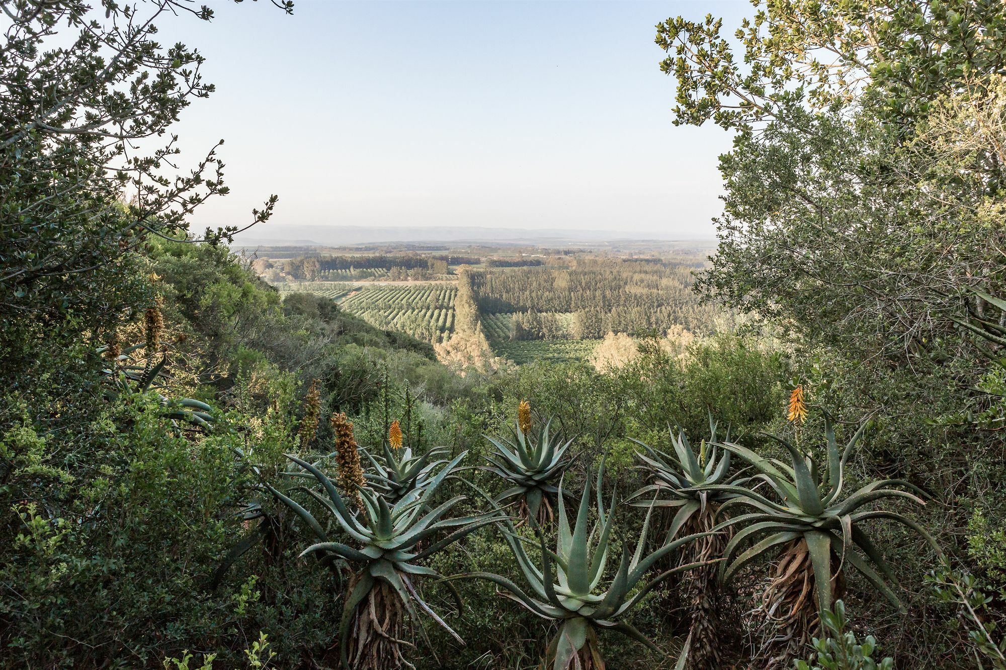 Hitgeheim Country Hospedaje y Eco Reserve Addo Exterior foto